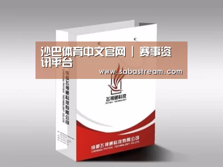 项目名称十三