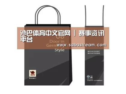 项目名称十四