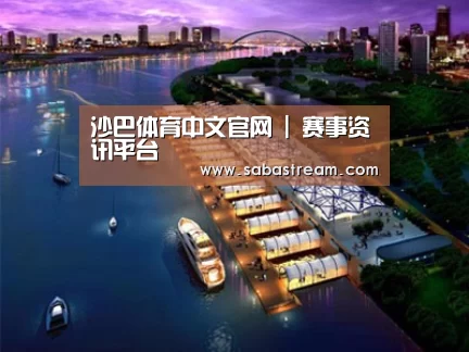 案例展示八