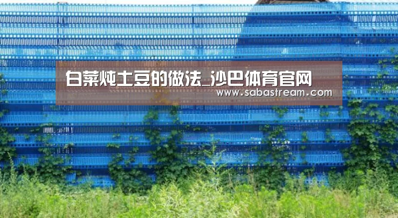 白菜炖土豆的做法_沙巴体育官网(图2) 沙巴体育APP