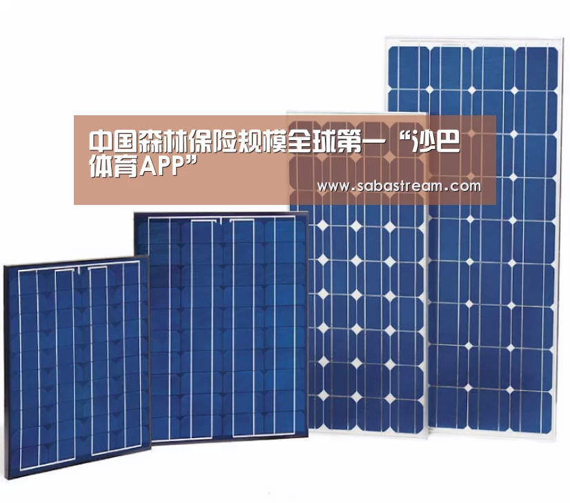 沙巴体育官网