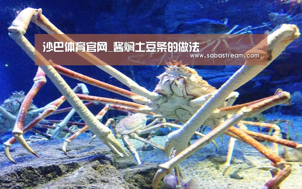 沙巴体育官网_酱焖土豆条的做法(图2) 沙巴体育平台
