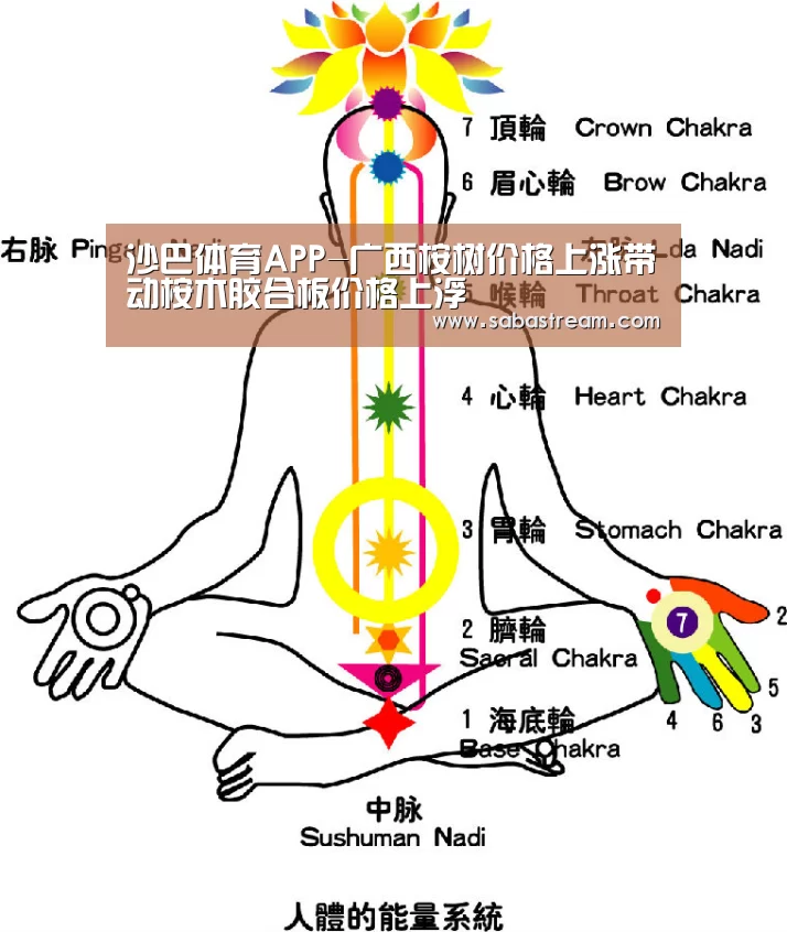 沙巴体育APP-广西桉树价格上涨带动桉木胶合板价格上浮(图1) 沙巴体育官网